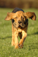 Logical at 14 weeks running!